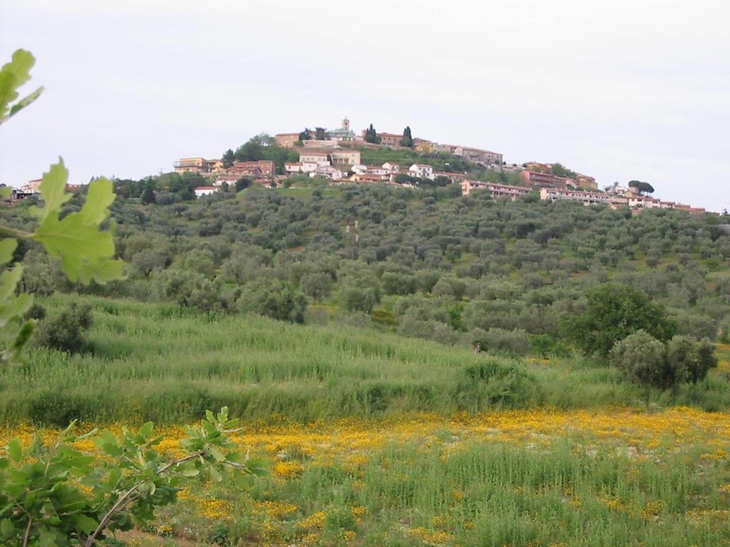 Agriturismo Vigna Mai Villa Magliano in Toscana Esterno foto