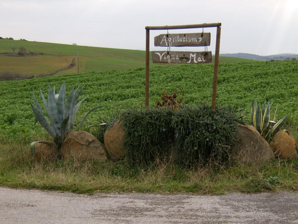 Agriturismo Vigna Mai Villa Magliano in Toscana Esterno foto